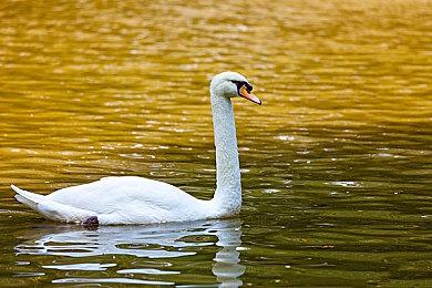 纪念系列诞生30周年 《超·铁拳祭》官方活动12月举行