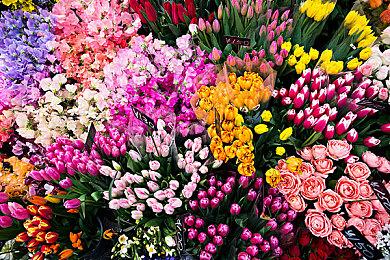 《上古卷轴5》Mod Skyblivion演示 能吸引新玩家目光